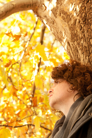 Young man profile portrait standing near the tree, oudoor in autumn parkの写真素材