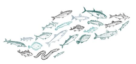 Schooling fish graphic vector hand drawn illustration