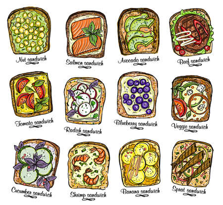 Sandwiches graphic set. Assorted sandwiches vector illustration with berries, fruits and vegetables, meat and seafood.のイラスト素材