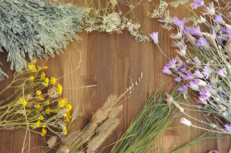 Wooden background with copy space for text and meadow herbs and flowersの写真素材