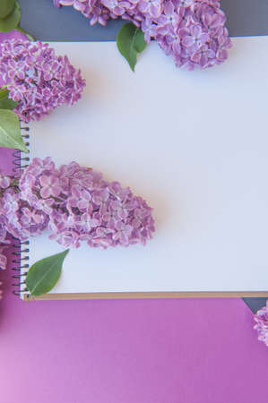 Empty space notepad list with lilac bunch of flowers, cute spring vertical banner templateの写真素材
