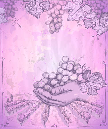 Hand holding bunch of grapes, vector graphic illustration with rural landscape and vineyard on a backgroundのイラスト素材