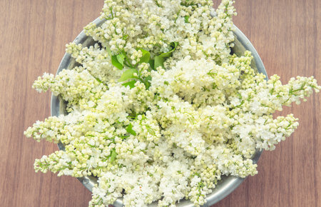 White lilac bowl on a wooden backdropの写真素材