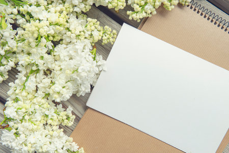 White paper card with closeup white lilac flowersの写真素材
