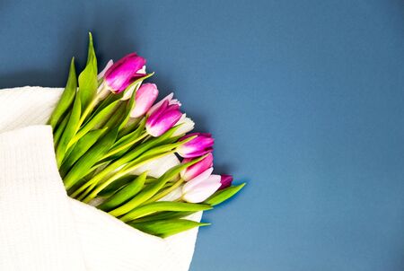 Tulips on dark blue background. Holiday concept. Greeting for Womens or Mothers Day, Valentines dayの写真素材