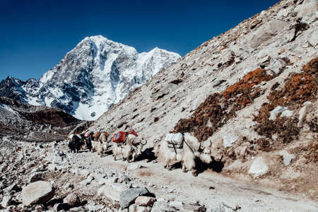 Beautiful mountain landscape in Himalaya