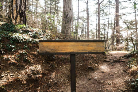 Wooden sign on the path in the forest