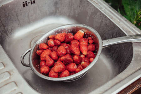 Freshly picked strawberries are washed in a metal colander in a old sink.の写真素材