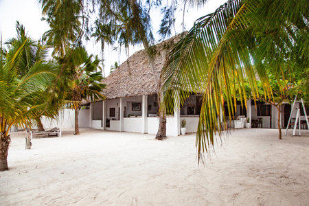 View of tropical sandy beach on Zanzibar, Tanzaniaの写真素材