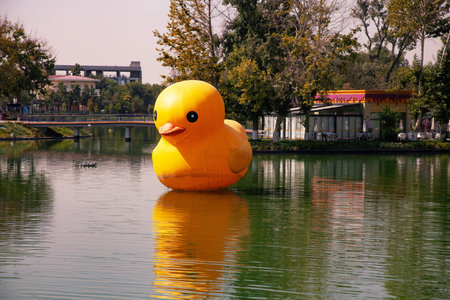 Bg yellow plastic duck in a pond in the parkの写真素材