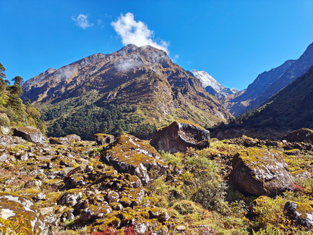 Beautiful mountain landscape in Himalaya