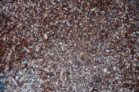 Textured background from sawdust close-up. Shavings on the floor in the workshop after working with...