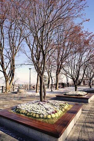 Winter scenery;in the parkの写真素材