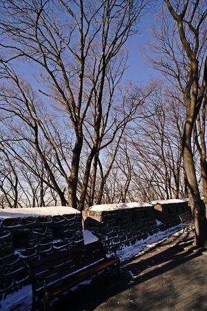 Winter scenery;in the parkの写真素材