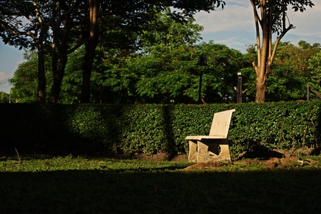 bench in the garden,relaxの写真素材