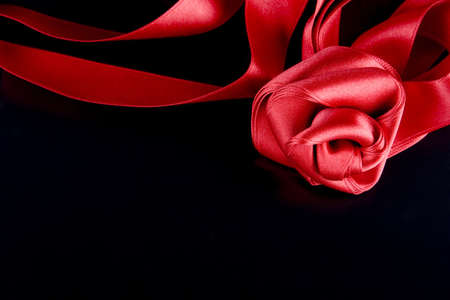 silk red rose on the black backgroundの写真素材