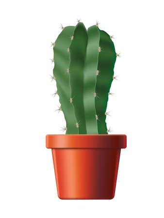 Cactus Astrophytum in a flower pot. For home cultivation. Isolated white background. Vector illustration.のイラスト素材