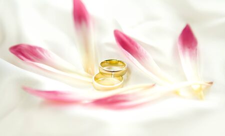 2 wedding rings and red flower on the white backgroundの写真素材