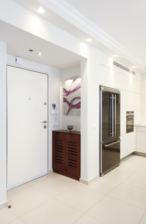Home Entrance Designs - Modern Entry Interior 
の写真素材