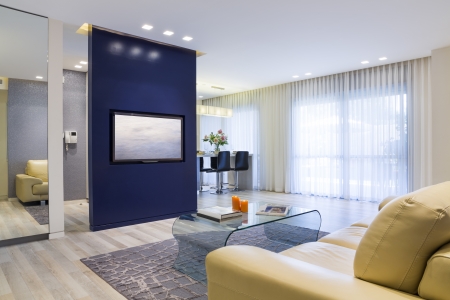 Luxury Modern Living Room and Domestic Kitchen Design の写真素材