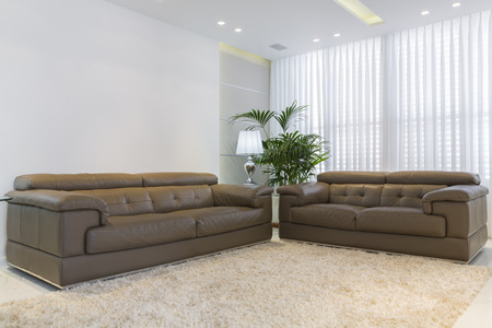  Luxury Modern Living Roomの写真素材