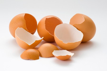 Few broken and empty eggs in one photo.
