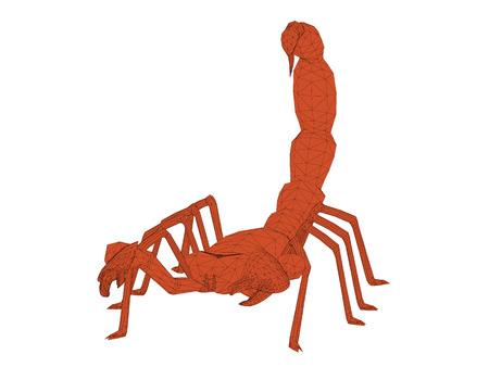 Vector illustration of polygonal scorpion. Isolated.のイラスト素材