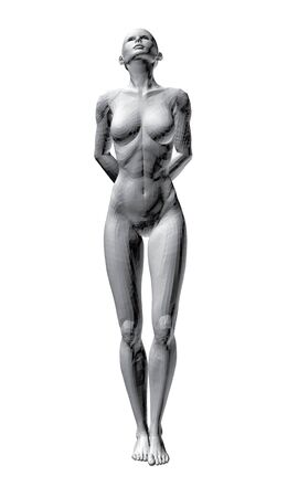 Vector illustration of sexy nude girl.のイラスト素材