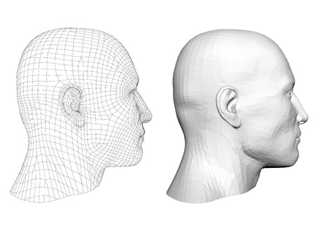 Realistic male head. Polygonal skin. Isolated. 3D. EPS 8. Vector illustration.のイラスト素材
