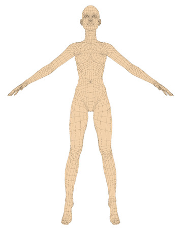 Nude girl polygonal. Vector illustration. Female anatomy. Isolated girl.のイラスト素材