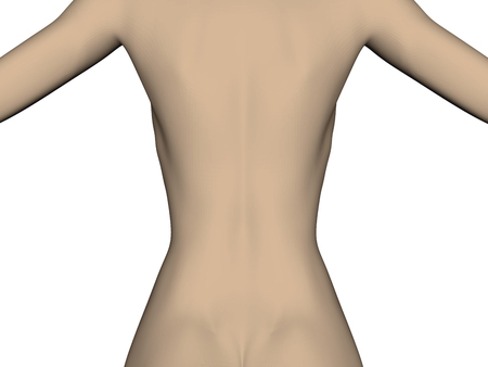 A woman's back with a slender waist image illustrationのイラスト素材