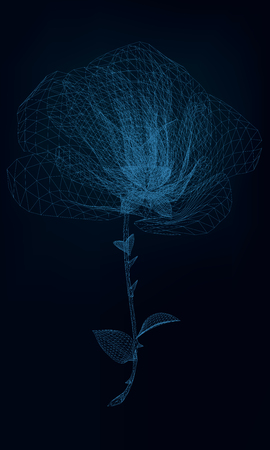 Rose wireframe. Polygonal wireframe rose on a dark blue background. 3D. Vector illustration.のイラスト素材