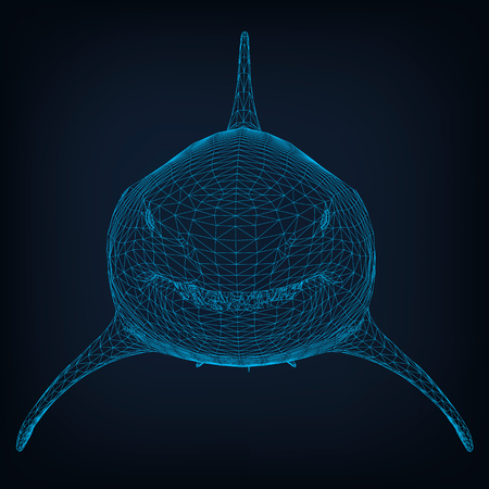 Polygonal shark wireframe model. Front view. Dark blue background. Vector illustation.のイラスト素材