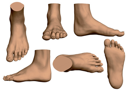 Set with male legs. Realistic man legs in different positions. Vector illustration.のイラスト素材