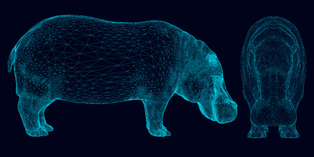 Set with wireframe hippopotamus of blue lines on a dark background. Side and front view. 3D. Vector illustration.のイラスト素材