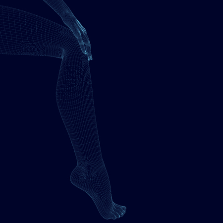 Wireframe female legs and hands of blue lines on a dark background. Polygonal hand of the girl is on her foot. 3D. Vector illustrationのイラスト素材