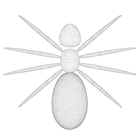 Spider wireframe made of black lines on a white background. View from above. 3D. Vector illustrationのイラスト素材