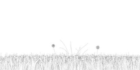 Contour grass isolated on white background. Isometric view. Vector illustrationのイラスト素材