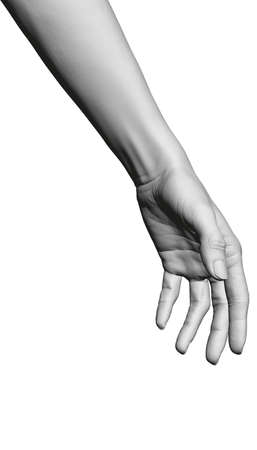 Model of a white female detailed hand. Polygonal hand of a girl. 3D. Vector illustrationのイラスト素材