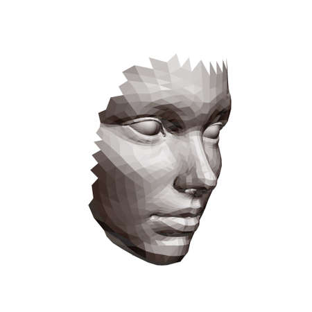 Polygonal face of a girl isolated on a white background. 3D. Vector illustration