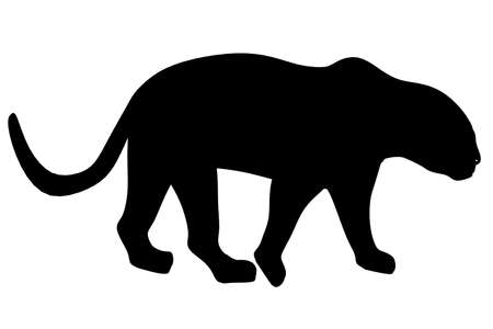 Silhouette of a cheetah isolated on a white background. Side view. Vector illustrationのイラスト素材