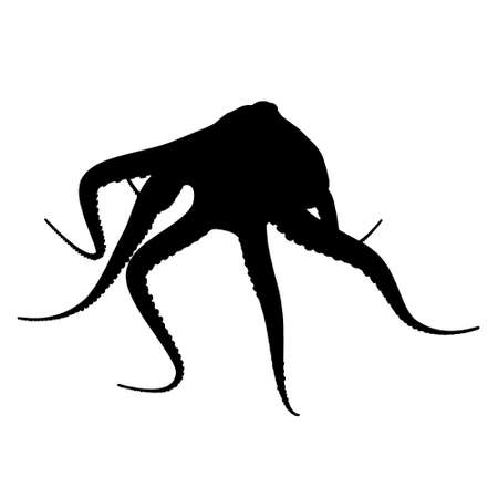 Silhouette of an octopus Isolated on a white background. Vector illustrationのイラスト素材