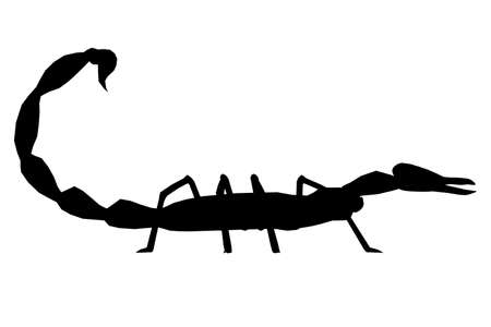 Scorpion silhouette isolated on white background. Side view. Vector illustrationのイラスト素材