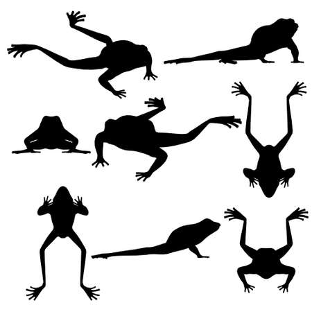 Set with silhouettes of frogs in different positions isolated on a white background. Vector illustrationのイラスト素材