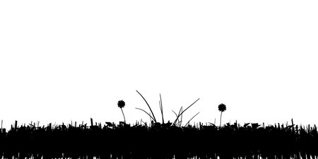 Silhouette of grass isolated on white background. Vector illustrationのイラスト素材