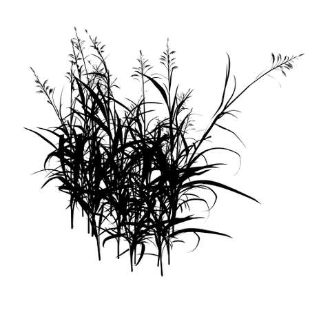 Grass silhouette isolated on white background. Vector illustrationのイラスト素材