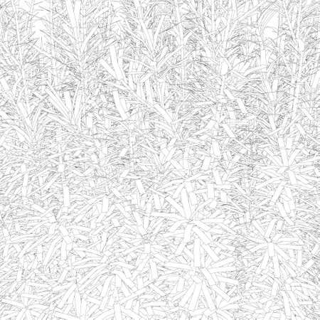 Background with many lines in the form of a plant from black lines, Isolated on a white background. Vector illustrationのイラスト素材