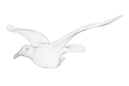 Flying bird wireframe isolated on white background. Side view. 3D. Vector illustrationのイラスト素材
