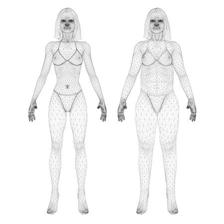 Two models of a wireframe girl in underwear, a slim and fat girl. The process of obesity of the girl body. Front view. 3D. Vector illustrationのイラスト素材
