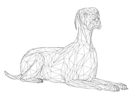 Wireframe of a lying dog from black lines isolated on white background. 3D. Vector illustrationのイラスト素材